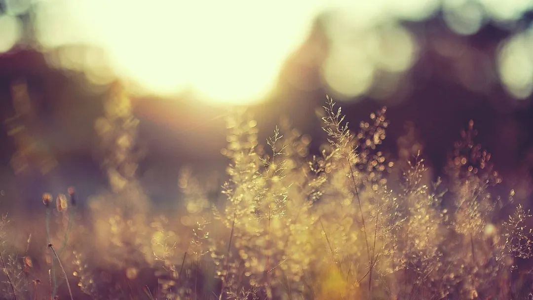 温史释易——读“师”卦