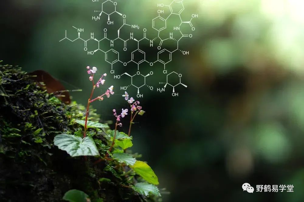 回顾世界各国九运，预见中国未来！