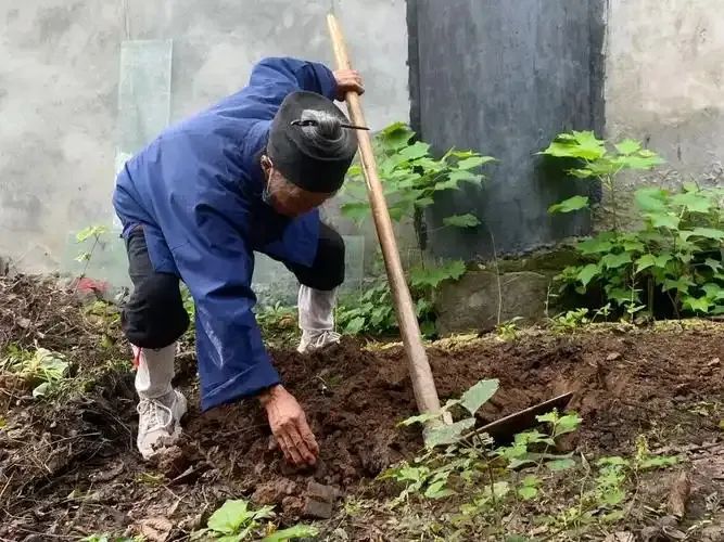 文章标题-1 道家潇洒脱俗,当道士都是天天逍遥快活而不需要劳动的吗?
