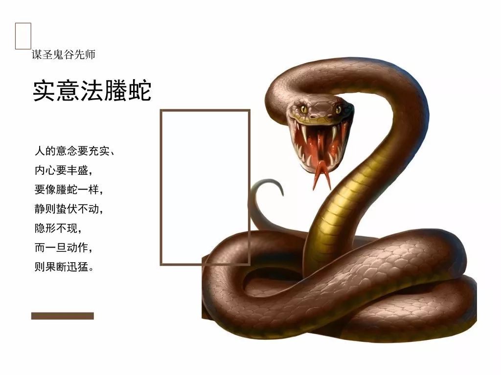 鬼谷子《本经阴符七术》之实意法螣蛇：心安静则神明荣，虑深远则计谋成