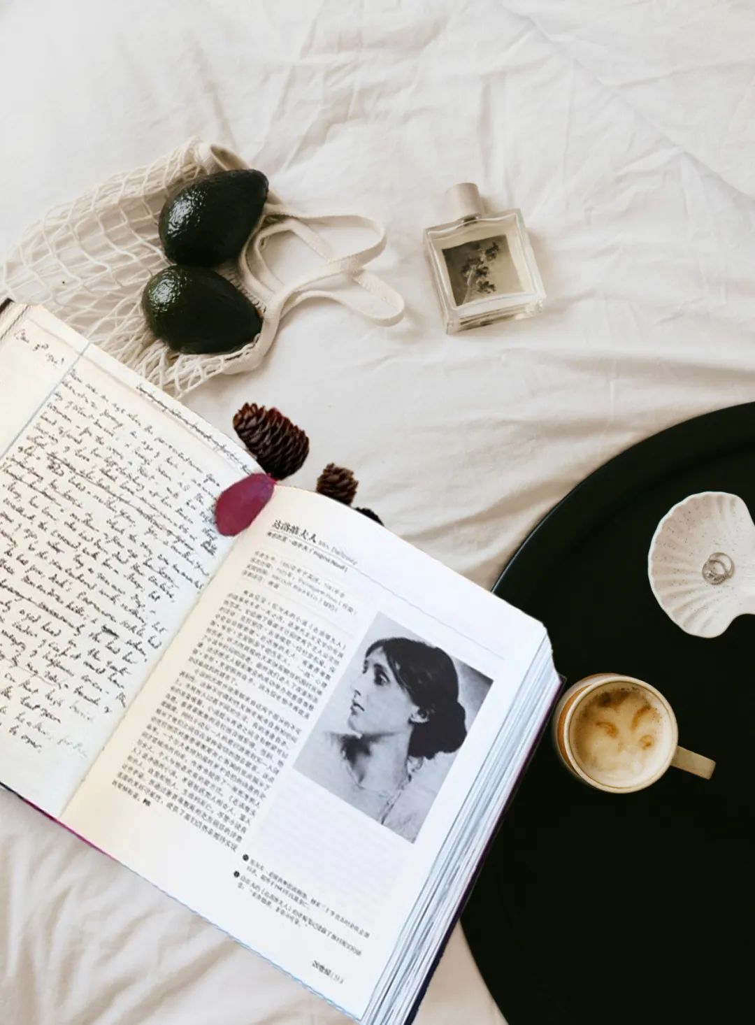 后悔没早点遇到，有生之年一定要读的1001本书！