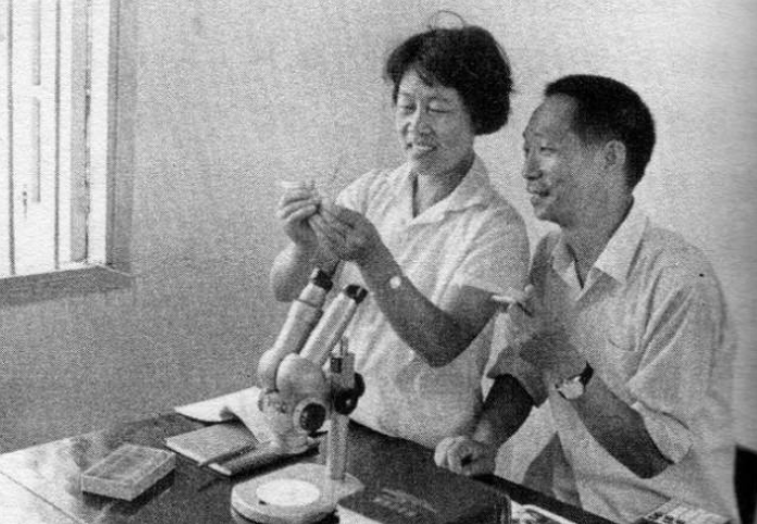 紫微斗数解读水稻之父袁隆平的非凡人生轨迹：以凡人之躯，行菩萨之道