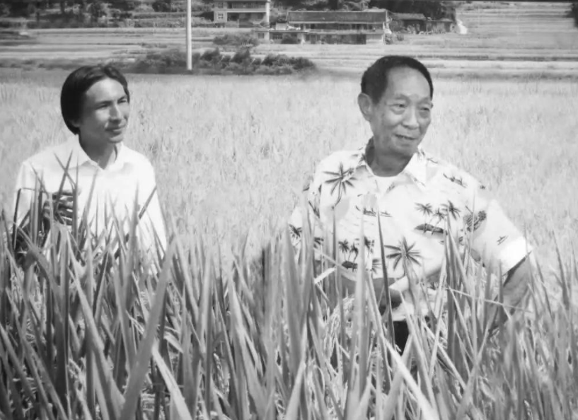 紫微斗数解读水稻之父袁隆平的非凡人生轨迹：以凡人之躯，行菩萨之道