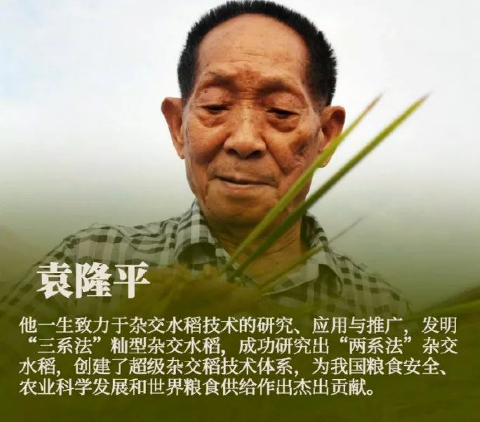 紫微斗数解读水稻之父袁隆平的非凡人生轨迹：以凡人之躯，行菩萨之道