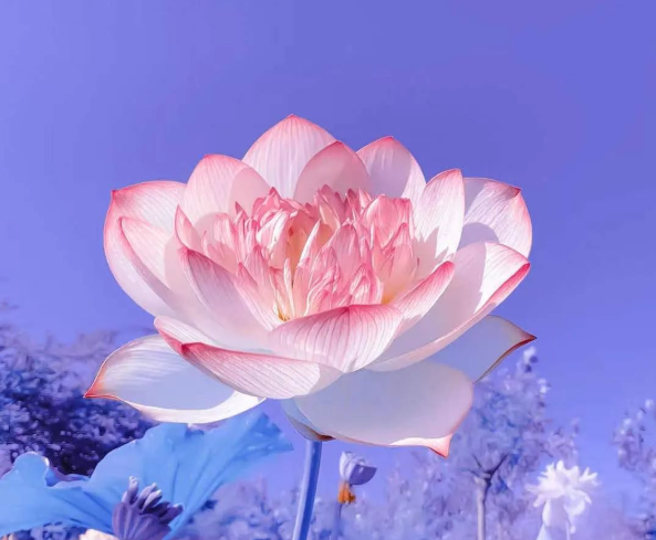文章标题-2 远离不义之财:轻者破财消灾,重者祸及性命,不可不防