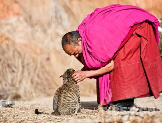 哲学家对僧侣的18个灵魂拷问