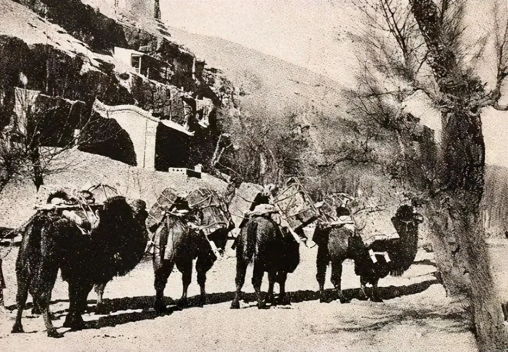 中世纪粟特间谍眼中的大唐北疆报告