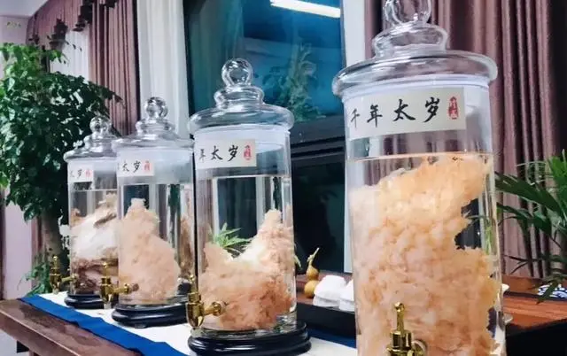 文章标题-1 “太岁”是什么东西?中国科学家们研究发现,其组成成分过于复杂