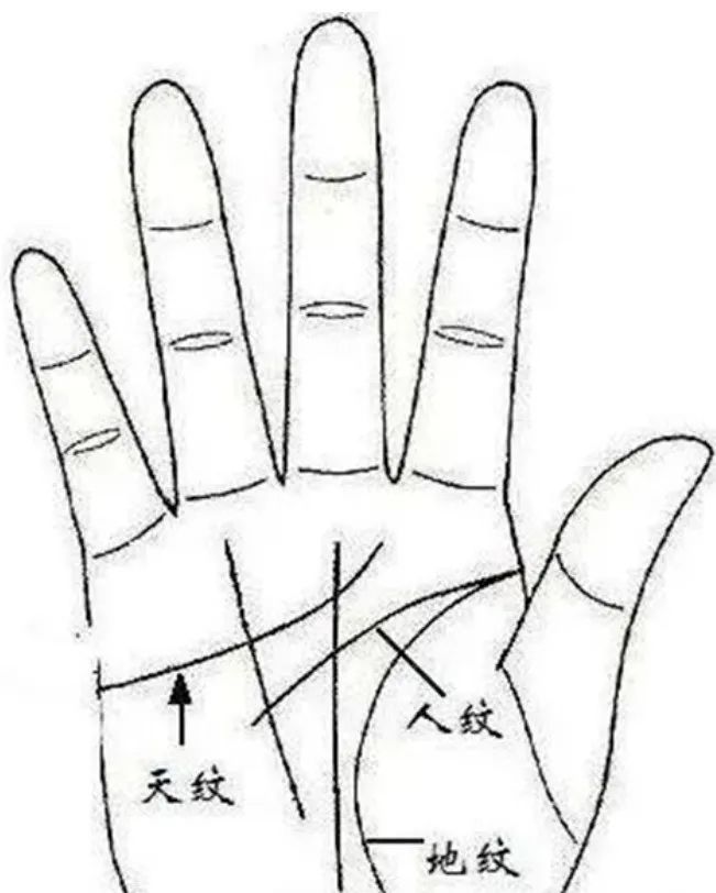 文章标题-1 相学——手掌上的主纹与副纹