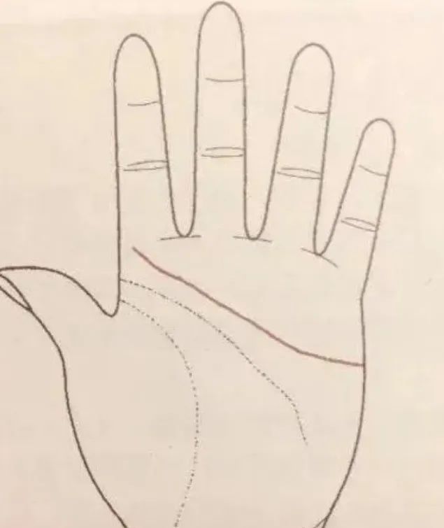 文章标题-3 相学——手掌上的主纹与副纹