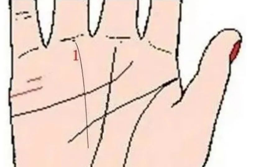 文章标题-4 相学——手掌上的主纹与副纹