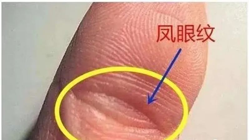 文章标题-5 相学——手掌上的主纹与副纹