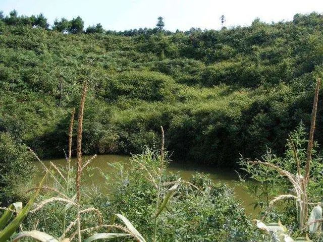 文章标题-5 墓地风水和丧葬禁忌 !