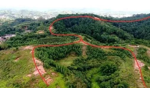 文章标题-10 墓地风水和丧葬禁忌 !