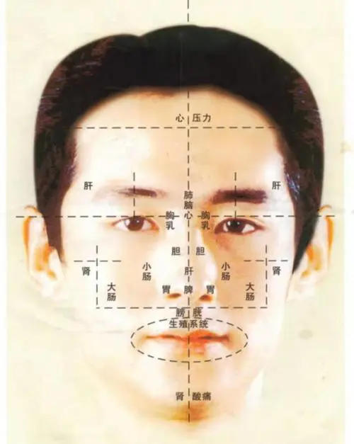文章标题-2 中医 | 通过面相直断病灶与生死(收藏独照使用)