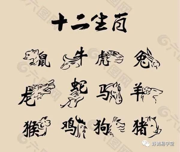 泄露天机的十二生肖！