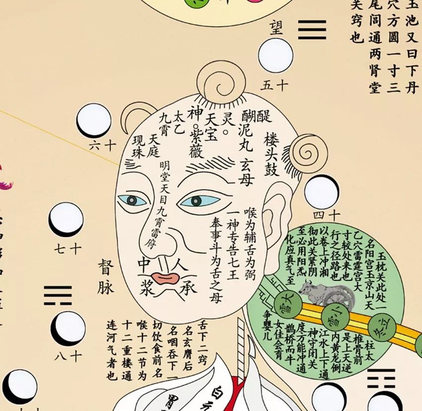 中医：唾源于肾，涕源于脑