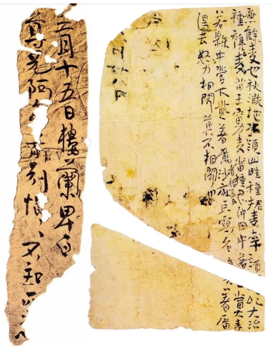 见微而知著——从楼兰习字纸看魏晋书法的审美自觉