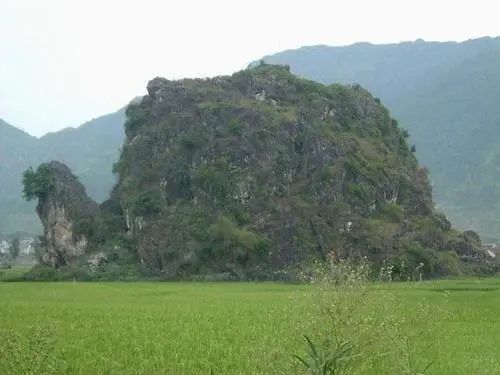 顶级商人的背后都站着一位风水师！