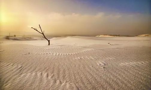 顶级商人的背后都站着一位风水师！