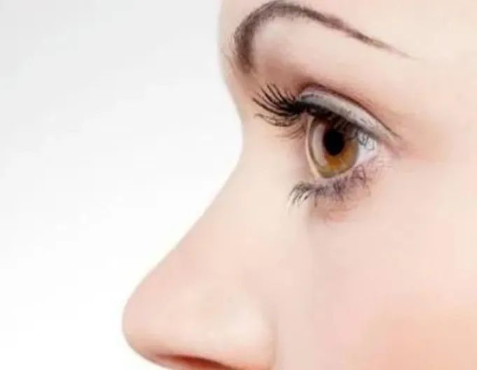 什么面相看上去很忠诚，是大耳朵矮人谢夫涅吗？