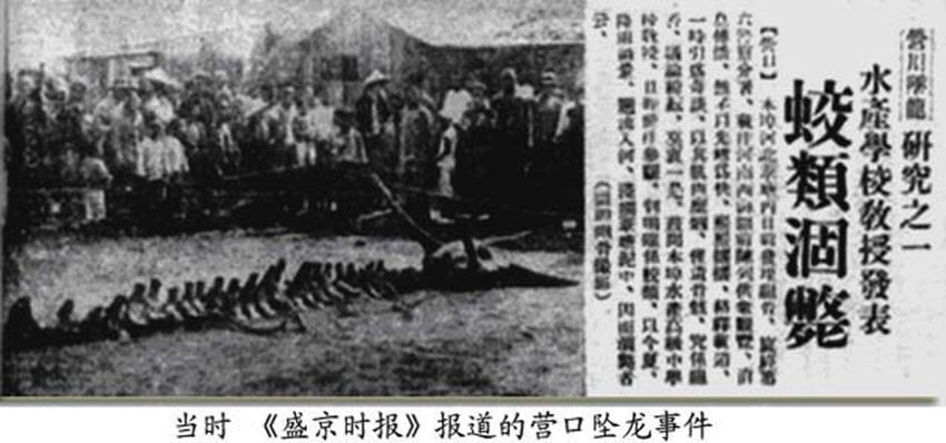 文章标题-6 典籍里的龙|龙真实的存在吗?