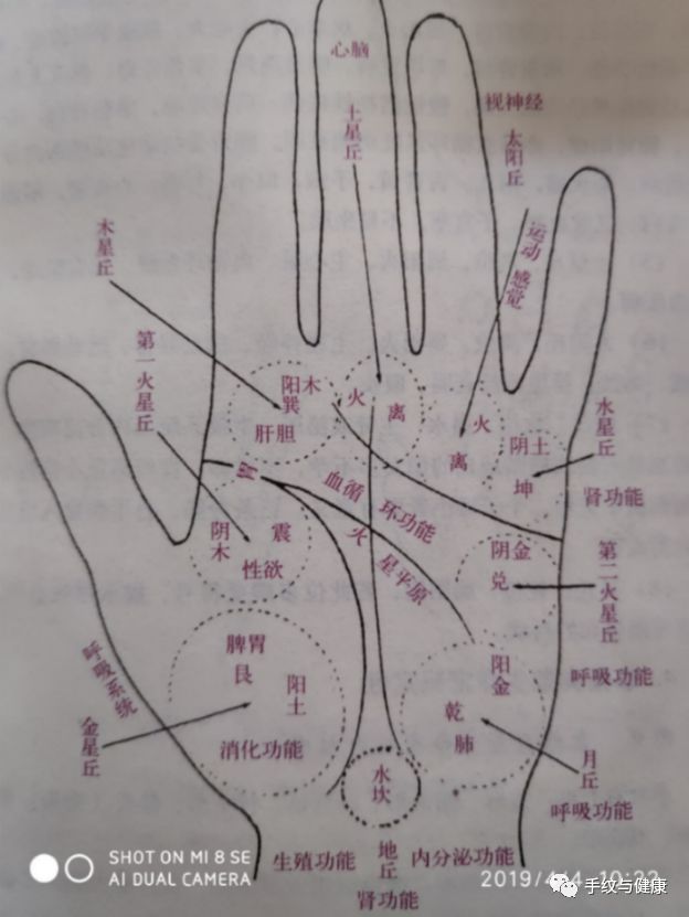 文章标题-1 中医手诊 | 掌丘卦位五行属性脏器功能生命密码定性图