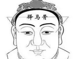 相学——九根贵骨与十二骨起的福气解读