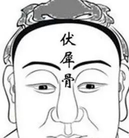 相学——九根贵骨与十二骨起的福气解读