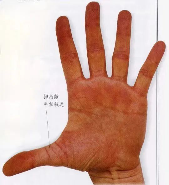 文章标题-6 相学——手相 - 手指