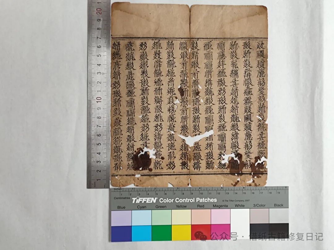 文章标题-2 《蠹鱼春秋》里我修过的芷兰斋藏西夏文文献