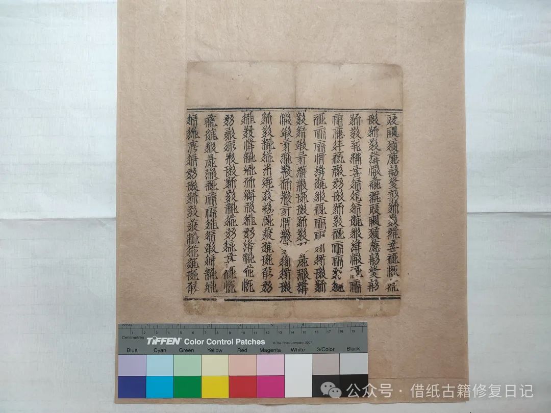 文章标题-3 《蠹鱼春秋》里我修过的芷兰斋藏西夏文文献