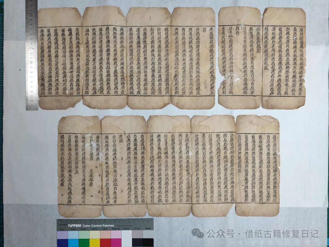 文章标题-8 《蠹鱼春秋》里我修过的芷兰斋藏西夏文文献