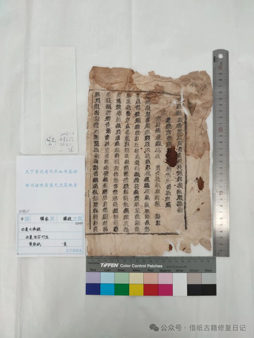 文章标题-10 《蠹鱼春秋》里我修过的芷兰斋藏西夏文文献