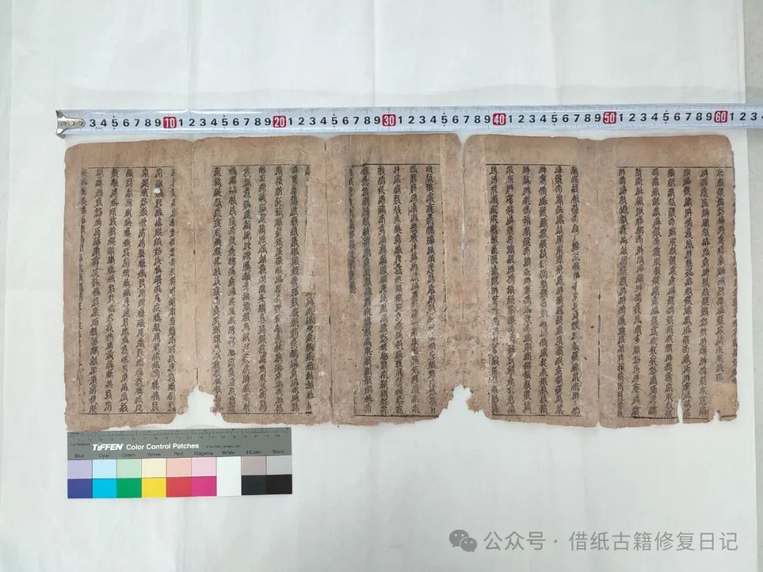 文章标题-12 《蠹鱼春秋》里我修过的芷兰斋藏西夏文文献