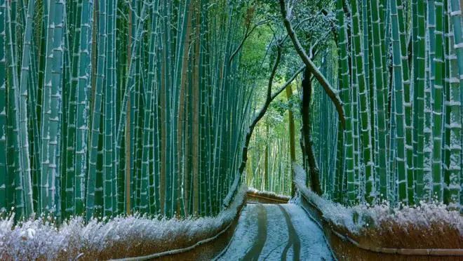 冬至：宇宙能量交汇，气机涌动，修行事半功倍！