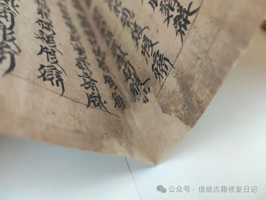 文章标题-13 《蠹鱼春秋》里我修过的芷兰斋藏西夏文文献