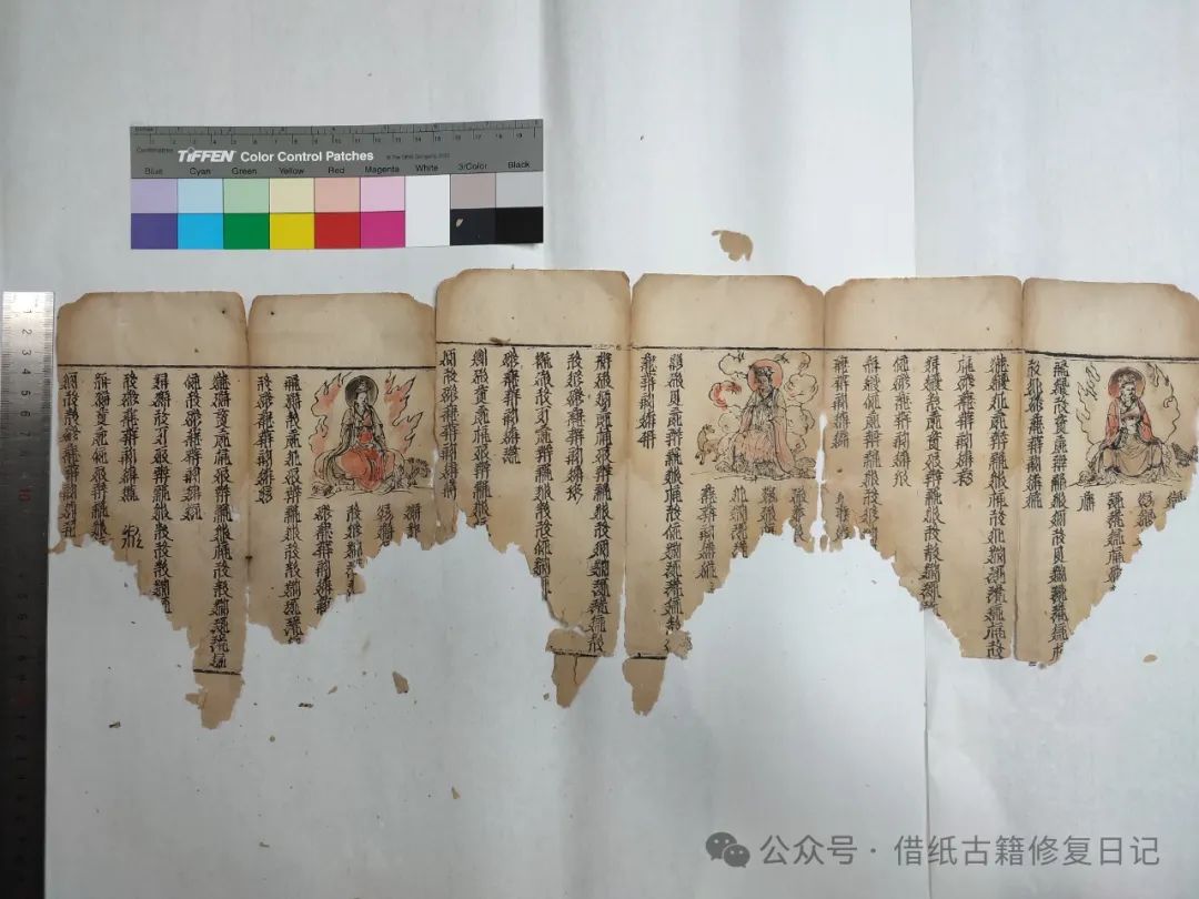 文章标题-16 《蠹鱼春秋》里我修过的芷兰斋藏西夏文文献