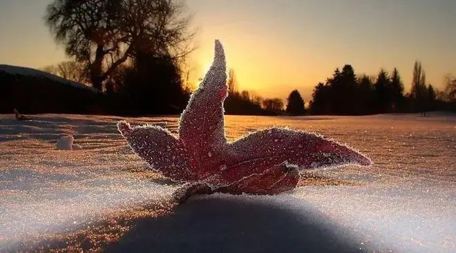 冬至：宇宙能量交汇，气机涌动，修行事半功倍！