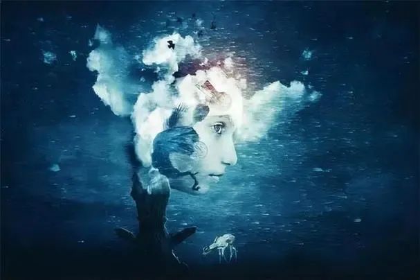 低维技巧与高维能量：人类社会的深层运作规则