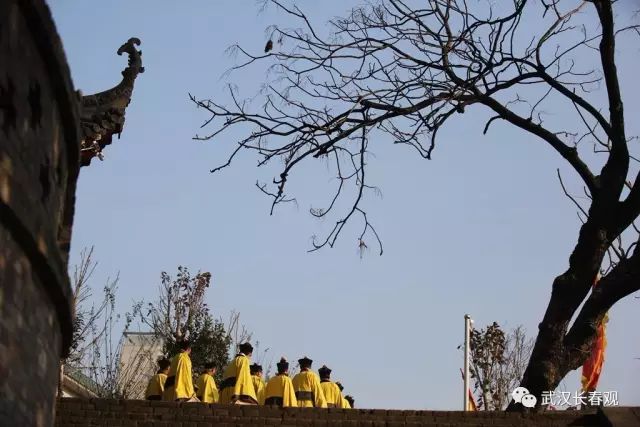 道教视角下的树木崇拜：天地间的桥梁