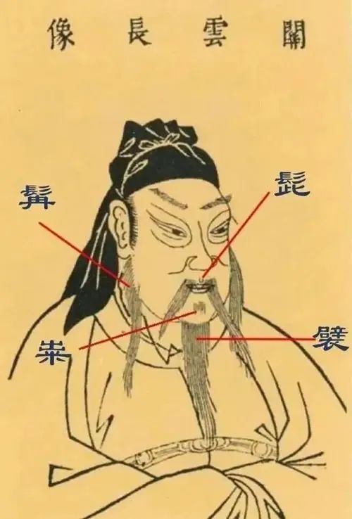 胡须的秘密：古代相书中的独特解读