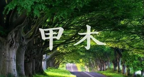 文章标题-3 命理上解读马云:时来天地皆同力,运去英雄不自由!
