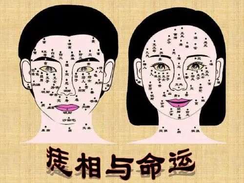 文章标题-1 面部常见痣相的吉凶意义!