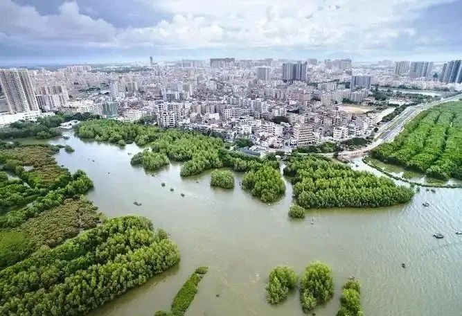 文章标题-3 解读城市风水:隐藏在茂名财富背后的神秘力量!