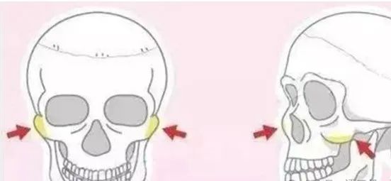 相学——九根贵骨与十二骨起的福气解读