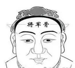 相学——九根贵骨与十二骨起的福气解读