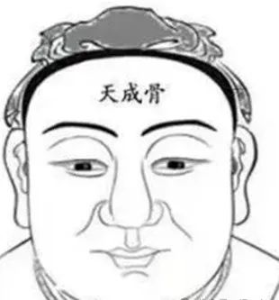 相学——九根贵骨与十二骨起的福气解读