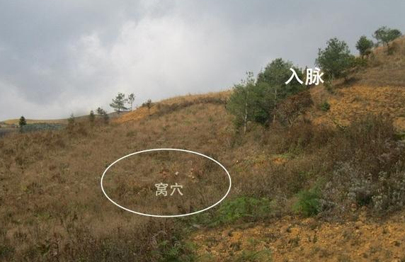 文章标题-3 几种怪穴,若遇到时要注意了!