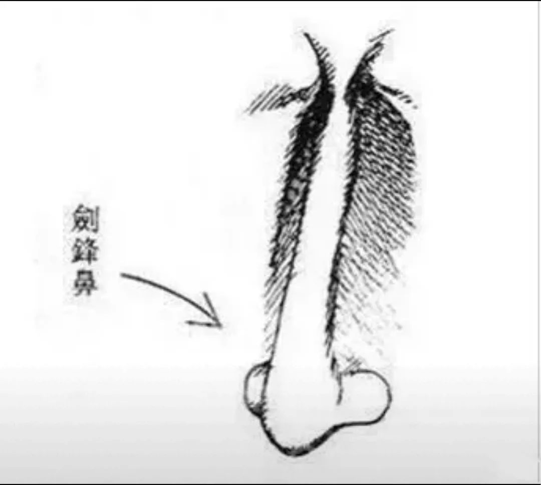 文章标题-6 相学——女人旺夫、克夫面相,进来对照一下?